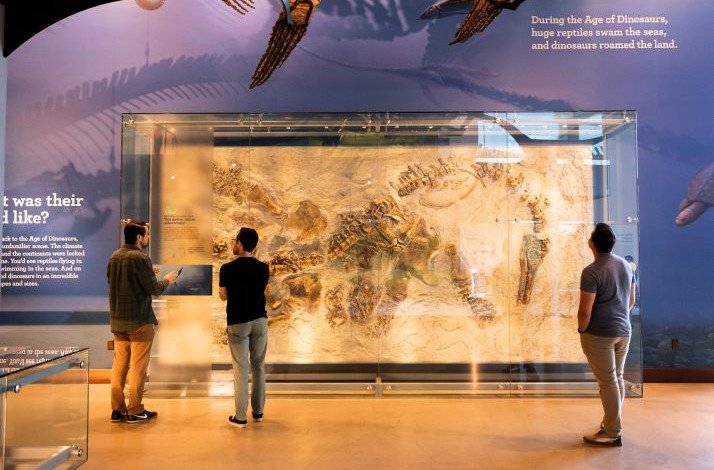 Three men examining fossils at the Natural History Museum of Los Angeles.