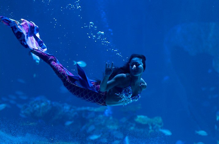 A woman wearing a colorful mermaid costume in an aquarium at  Su Va Na Restaurant