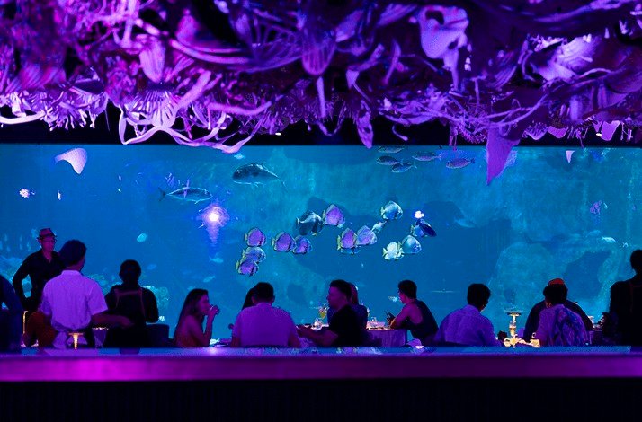 People enjoying their meal at Su Va Na Restaurant, with a large aquarium visible in the background.