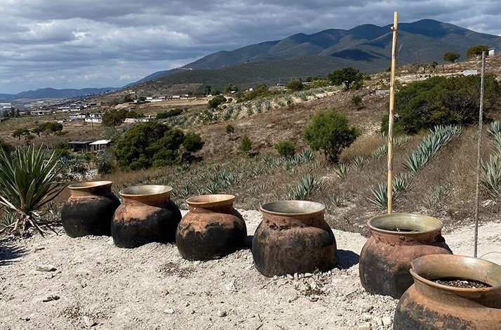Large clay pots are arranged outdoors near agave plants and rolling hills.