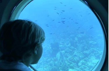 A child gazes out of the submarine’s porthole, captivated by a view of the coral reef and small fish drifting by