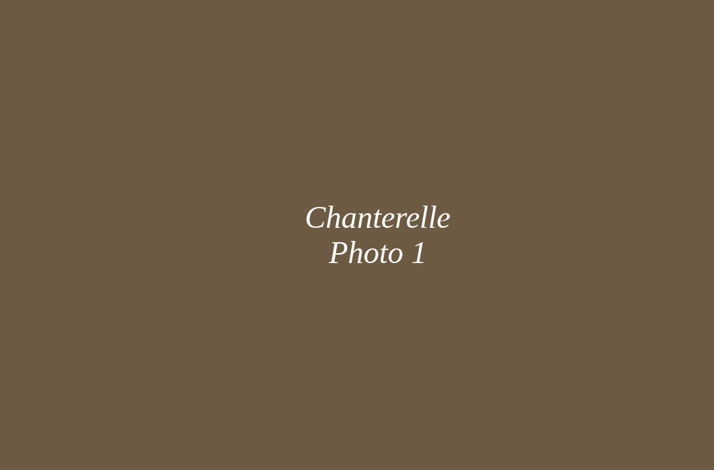 Chanterelle Reservations: In New York, New York (5)