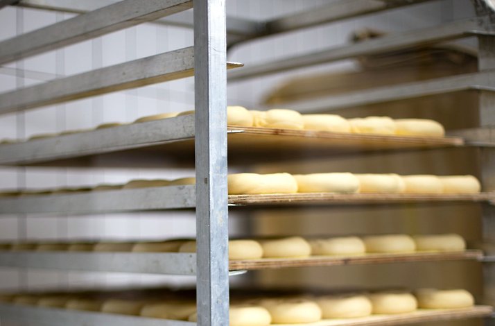 Rows of uncooked bagels proofing on a commercial sheet rack in the Russ & Daughters kitchen, NYC.