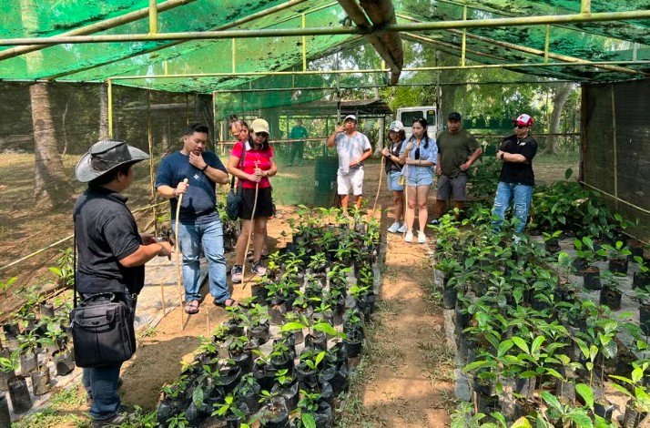 Farm's herb gardens in Amadeo, Cavite.