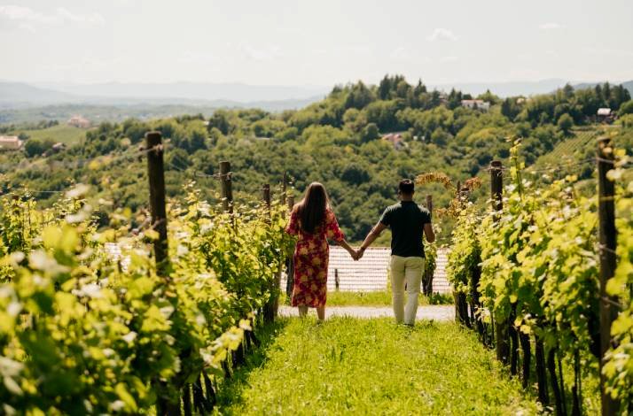 A couple walks hand in hand through a lush vineyard.