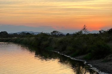 A landscape image captures the bushes and trees along the banks of the river during the time of sunset at Kruger National Park