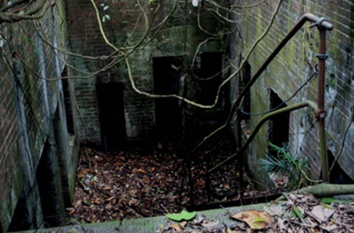 Ruins, surrounded by lush jungle.