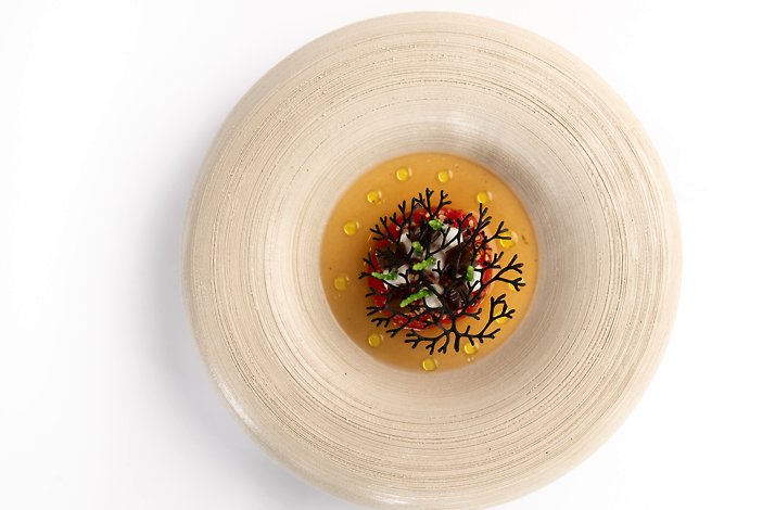 Haute cuisine dish on the white plate served at  't Lansink restaurant