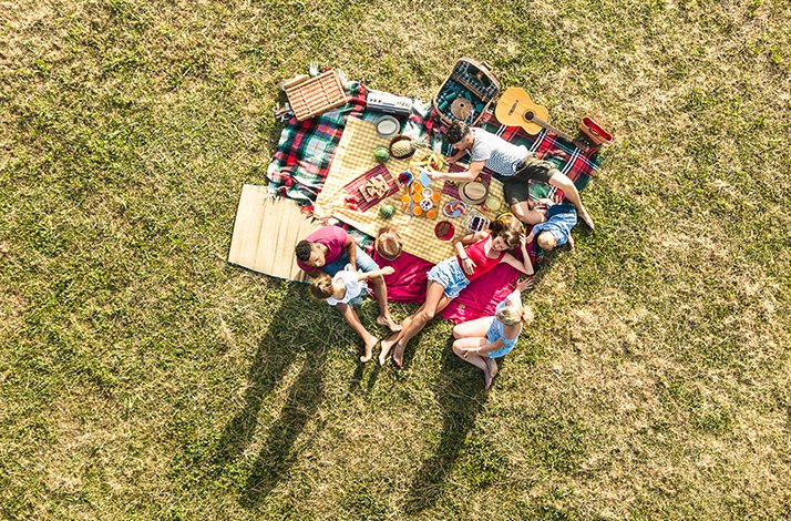  Overhead view of a group of people enjoying a picnic on a colorful blanket in a grassy area.