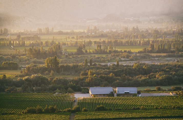 Casablanca Valley vineyards and winery landscape at sunset.