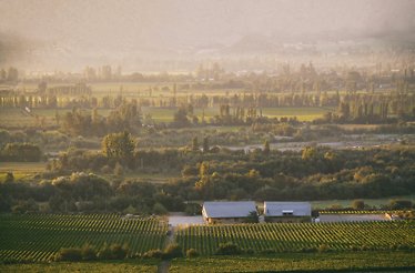 Casablanca Valley vineyards and winery landscape at sunset.