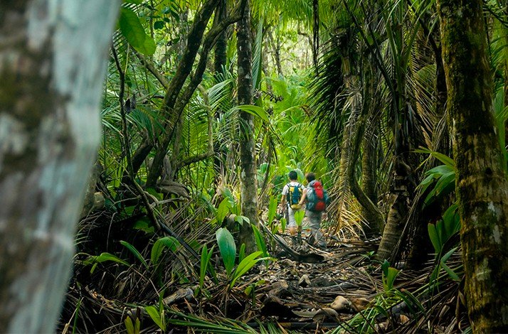 Hike the route less travelled to Christ the Redeemer: In Rio de Janeiro, Brazil (5)