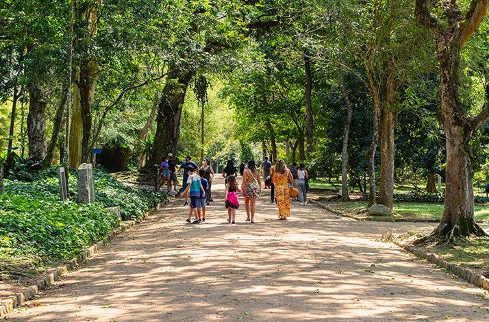 Rio de Janeiro Botanical Garden