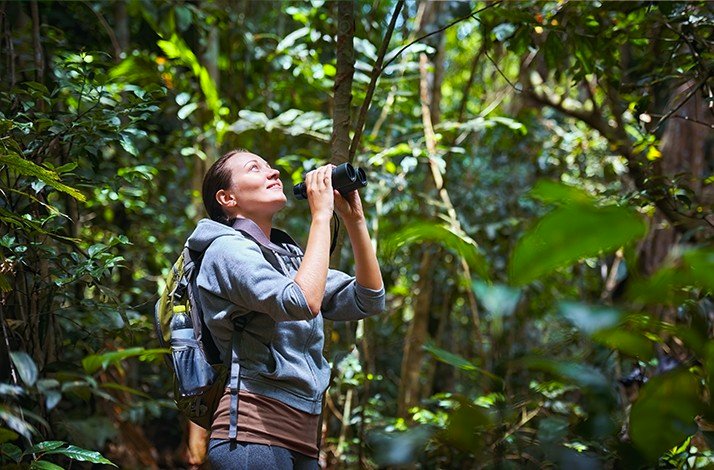 Explorer with binoculars observing wildlife in a dense rainforest of Parque Nacional da Tijuca