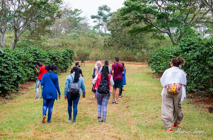 A group of tourists visiting  Fairview Coffee Estate. Photo by Mr. Muiruri Snaps