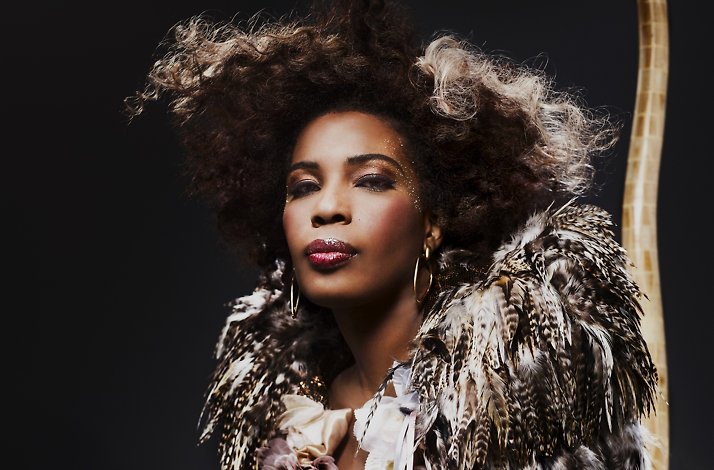 Promotional poster for Blue Note Macy Gray.