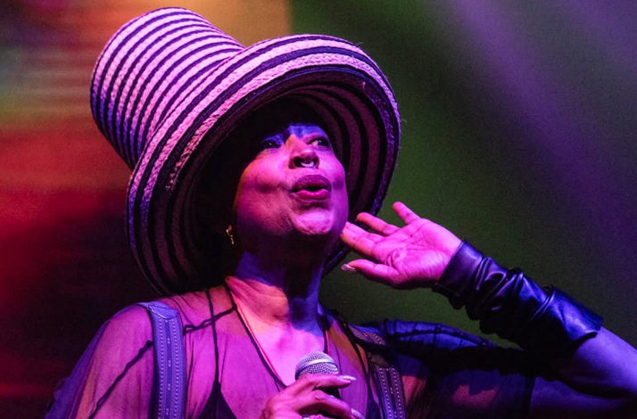 Photo of Ms. Lisa Fischer performing live.