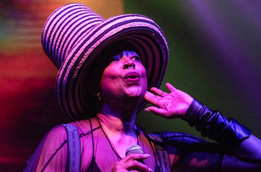 Photo of Ms. Lisa Fischer performing live.