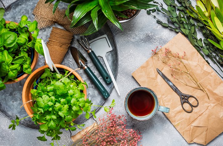Tools and plants used in a nature-based workshop led by Afloday guides.