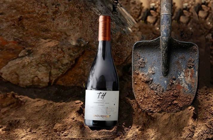 A wine bottle placed next to a shovel in a soil-filled vineyard setting