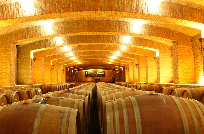 Interior view of an illuminated wine cellar at Viña Undurraga, featuring rows of wooden barrels beneath arched brick ceilings.