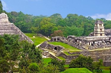 The ancient Mayan city of Palenque in Chiapas, Mexico, with tree-shrouded pyramids and temples.