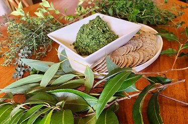 A bowl of green pesto is served with crackers on a wooden table surrounded by various types of leaves.