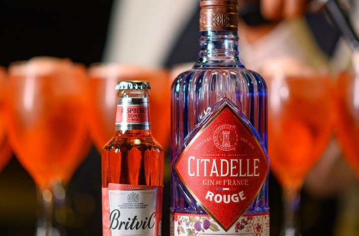 A shot of two bottles of alcoholic drinks, a small bottle of raspberry tonic and a larger bottle of gin.