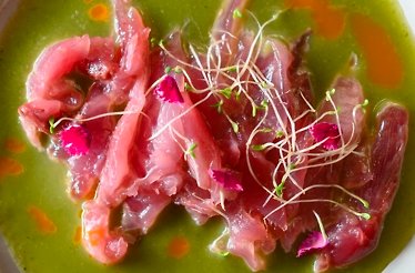 Vibrant tuna tartare with sprouts and colorful garnishes in green sauce