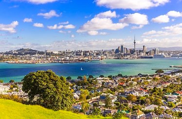 View from the hill on Tāmaki Makaurau (Auckland).