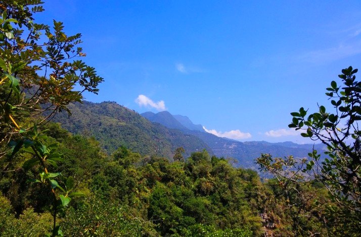 The raw natural beauty of the Amazon.