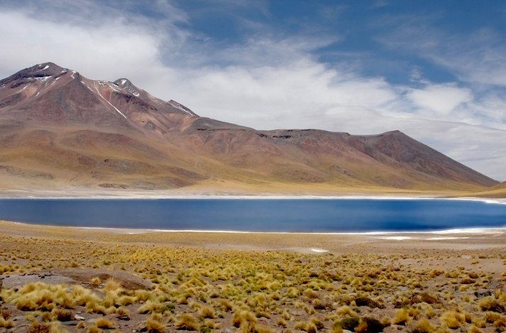 Miniques and Miscanti lagoons in the Atacama Desert, Chile.