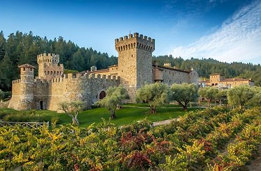 Taste Napa Valley wines