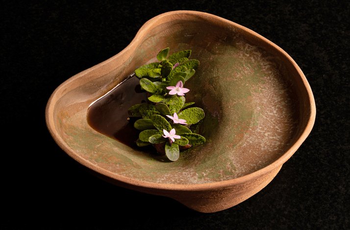 An artful arrangement of small, delicate plants and flowers, presented in a unique bowl at Restaurante LEO.
