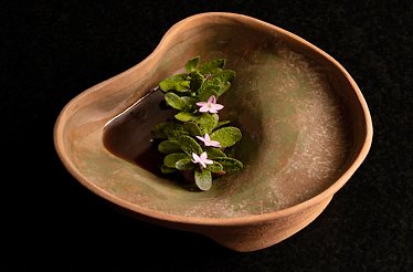 An artful arrangement of small, delicate plants and flowers, presented in a unique bowl at Restaurante LEO.