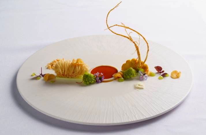 An artistic gourmet dish with mushrooms, colorful vegetables, and sauce from the YUAN Spring Tasting Menu.