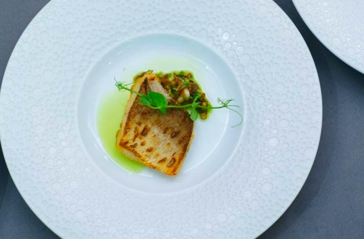 A beautifully plated grilled fish fillet with a light sauce and vegetable garnish.