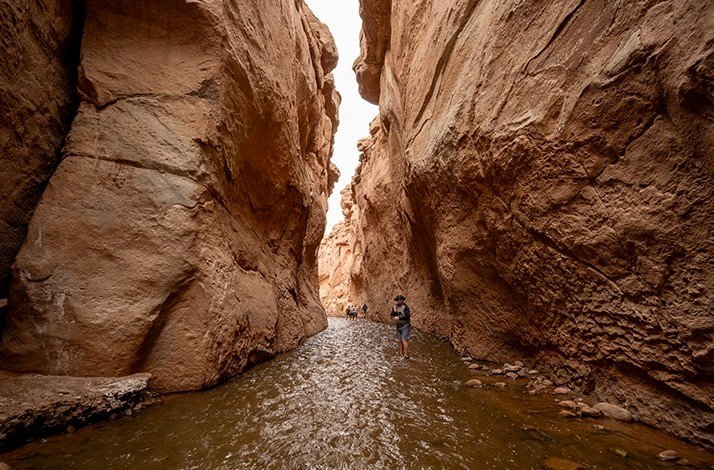 Explore two stunning landscapes on a private Atacama Desert photo tour: In San Pedro de Atacama, Chile (3)
