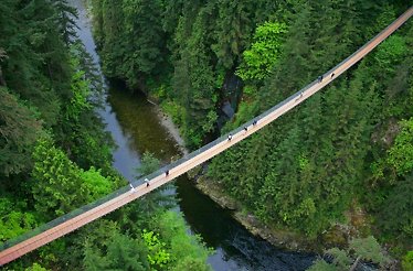 The Capilano Suspension Bridge