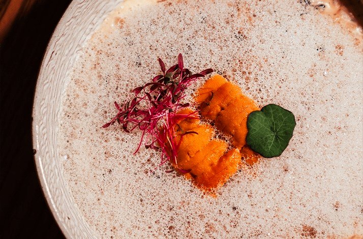 Sea urchin dish garnished with microgreens at VUE restaurant.