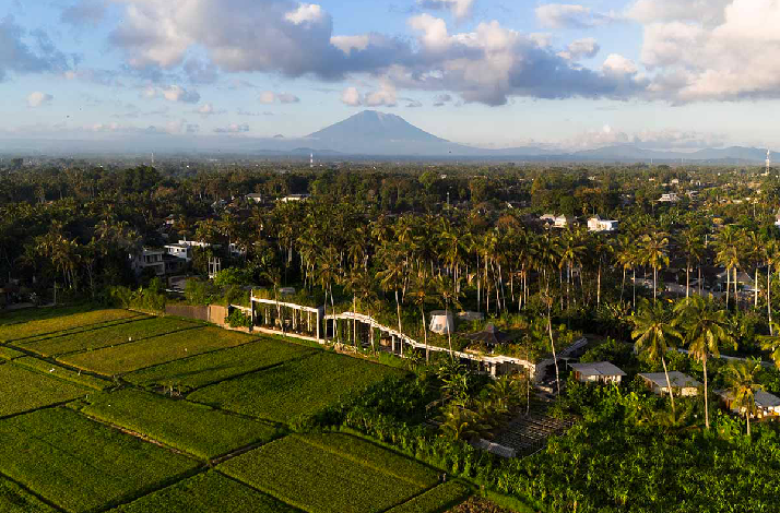 Locavore NXT, a restaurant located in Ubud, Bali, known for its sustainable and hyper-local Indonesian cuisine.