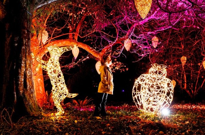 A child standing between glowing wire sculptures of a rabbit and owl at Wonderlights in Malahide Castle.