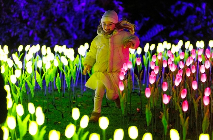 A young girl happily running through a field of glowing tulip installations at Wonderlights in Malahide Castle.