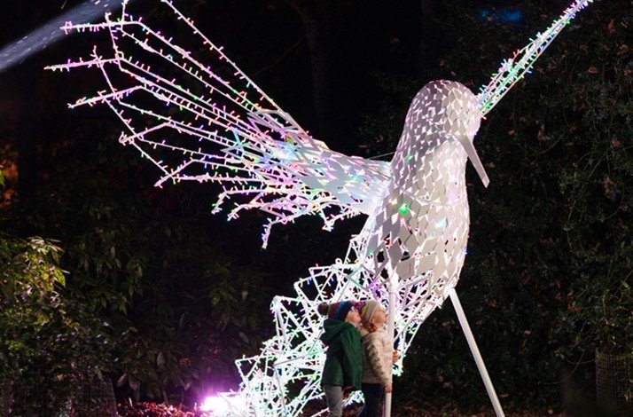 A giant bird figure illuminated in Wonderlights malahide, Dublin.