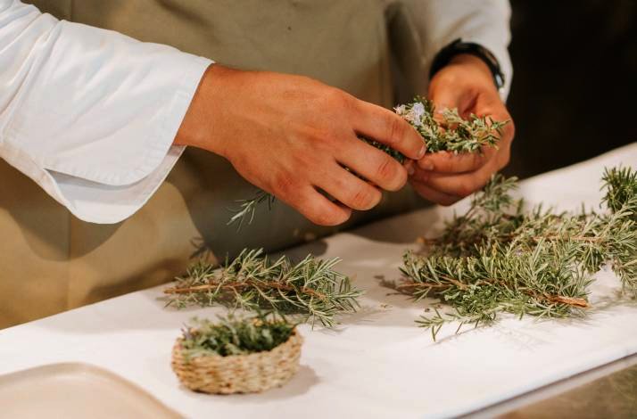 Person is sorting and gathering fresh rosemary and thyme herbs on a white surface.