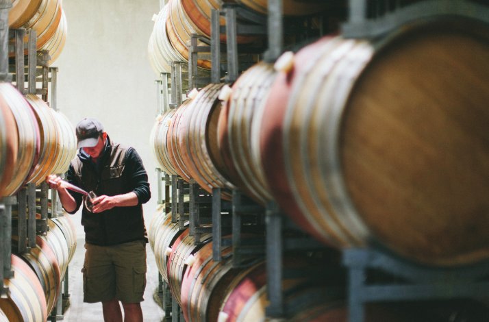 Winemaker pouring wine out of a barrel.