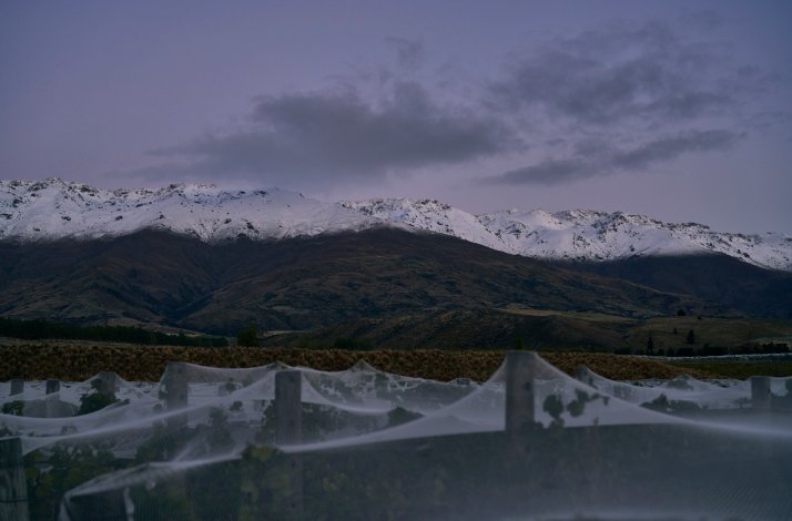 View of the mountains from Amisfield vineyard.