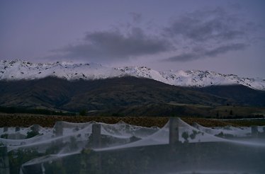 View of the mountains from Amisfield vineyard.