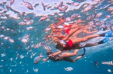 People snorkeling with fish near Crystal Rock, Mauritius.