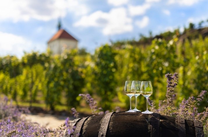 Glasses of wine placed on a wooden barrel with grapevines in the background.